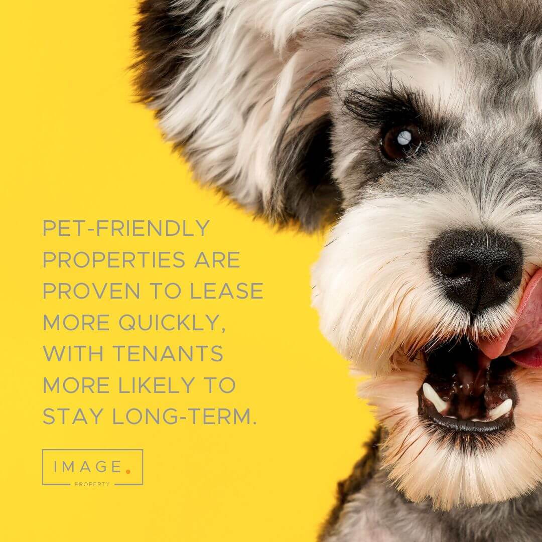 pets-and-rental-properties-image-property