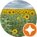 Shelly profile picture