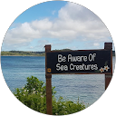 Jake Regenfelder profile picture