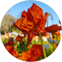 Khalid Fatah profile picture